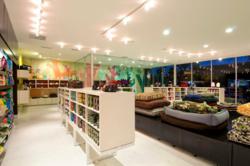 Pets, Natural, Organic, Grooming, Doggie Daycare, Sustainable